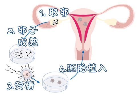 张医生